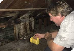 Smart Healthy Homes Mold Removal
